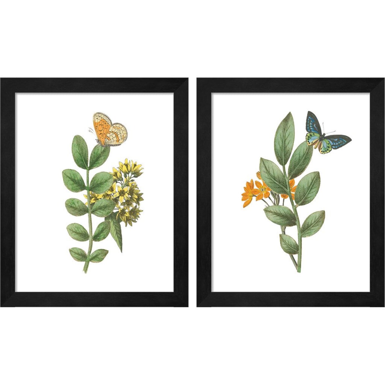 Greenery Butterflies by Wild Apple Portfolio, 2 Piece Black Framed Art Set